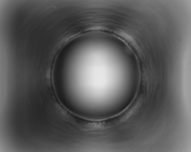 X0000089430937200706151306