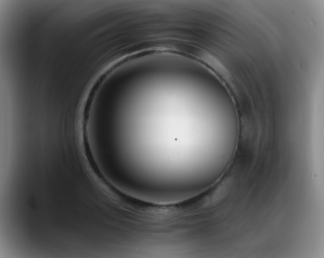 X0000089430939200706151306