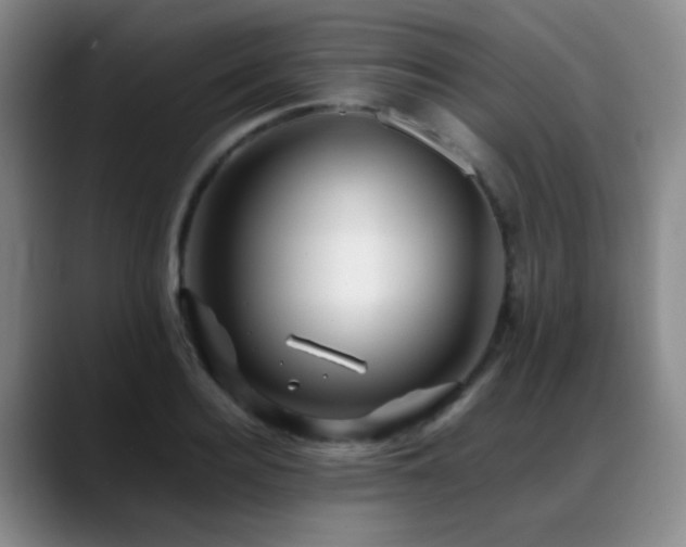 X0000089430940200706151306