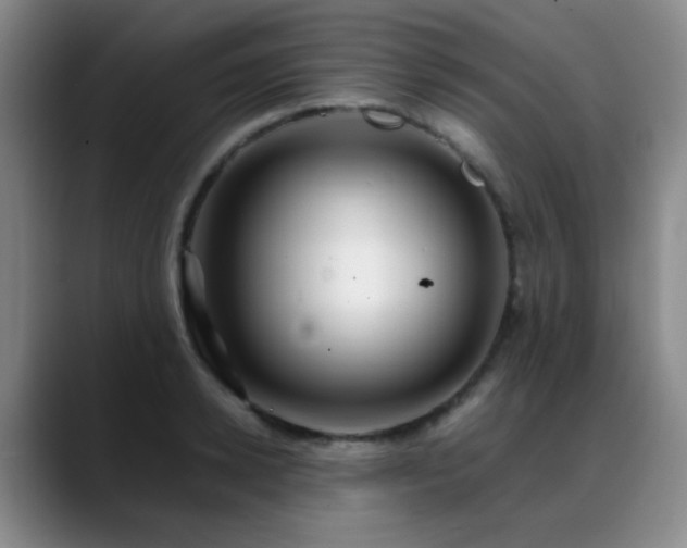 X0000089430942200706151306