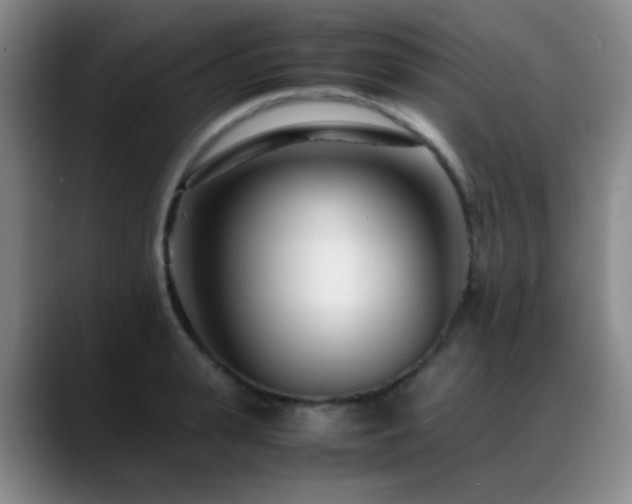 X0000089430943200706151306