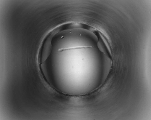 X0000089430944200706151306