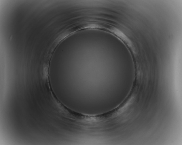 X0000089430945200706151306