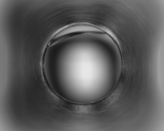 X0000089430951200706151306