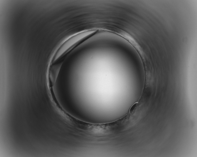 X0000089430955200706151306