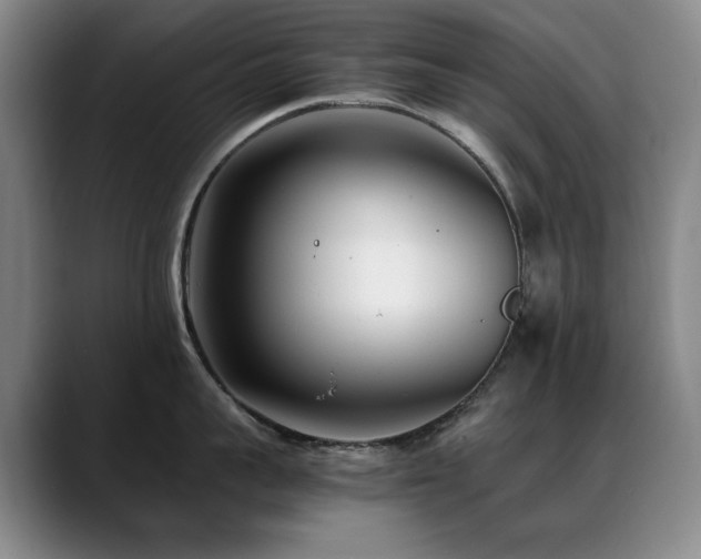 X0000089430959200706151306