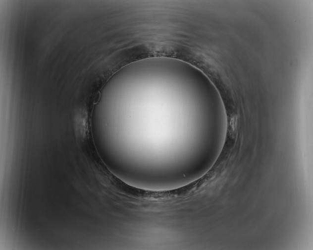 X0000089430963200706151306