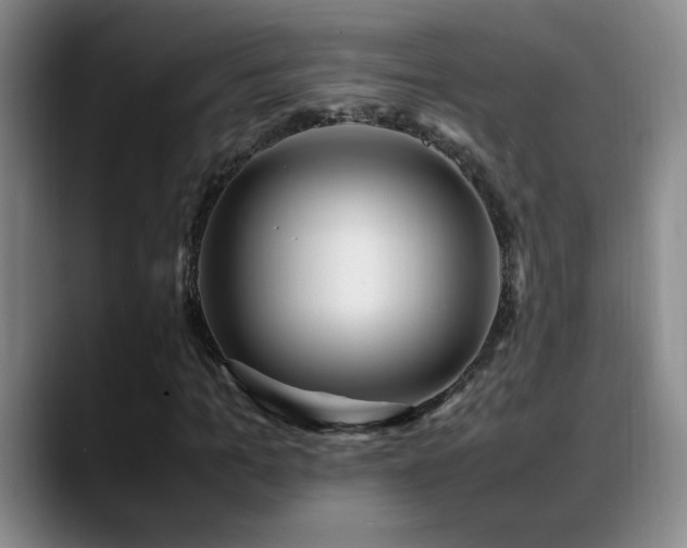 X0000089430965200706151306