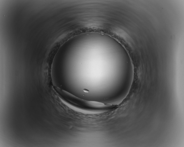 X0000089430968200706151306