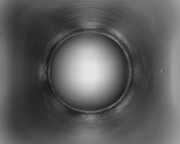 X0000089430970200706151306