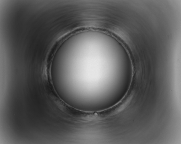 X0000089430974200706151306