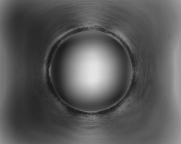 X0000089430975200706151305