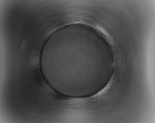 X0000089430977200706151305