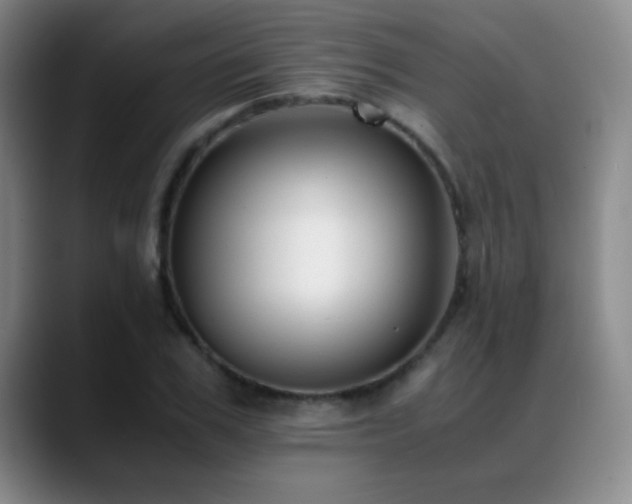 X0000089430979200706151305