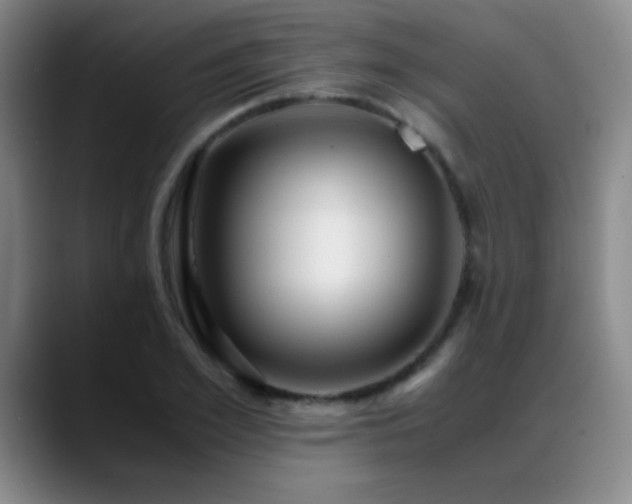 X0000089430981200706151305