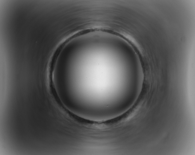 X0000089430983200706151305