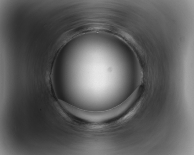 X0000089430985200706151305