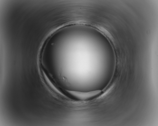 X0000089430989200706151305