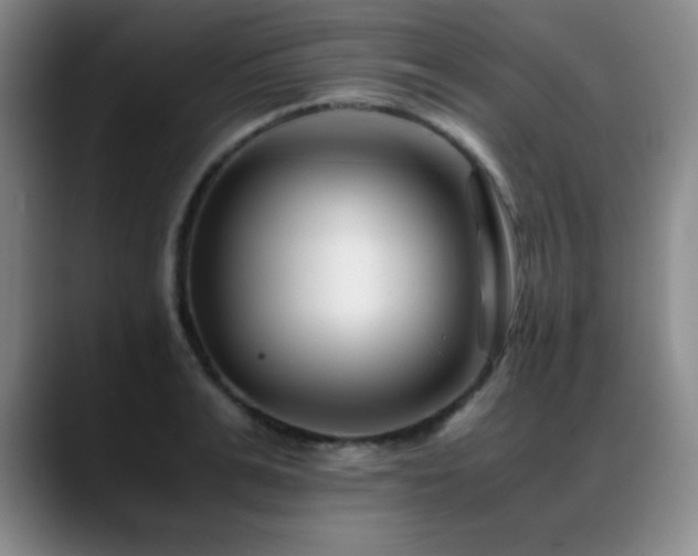 X0000089430991200706151305