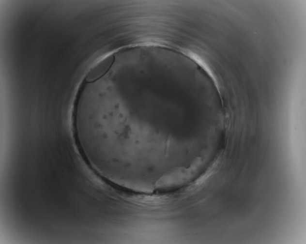X0000089430995200706151305