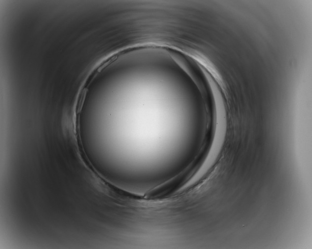 X0000089430996200706151305