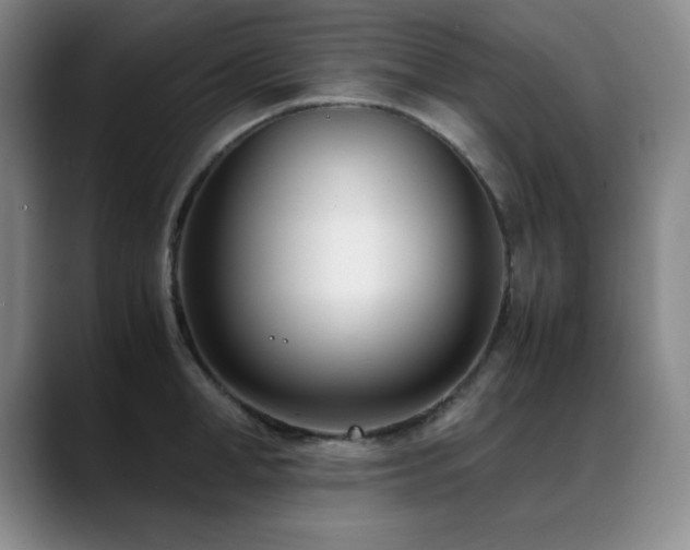 X0000089430998200706151305