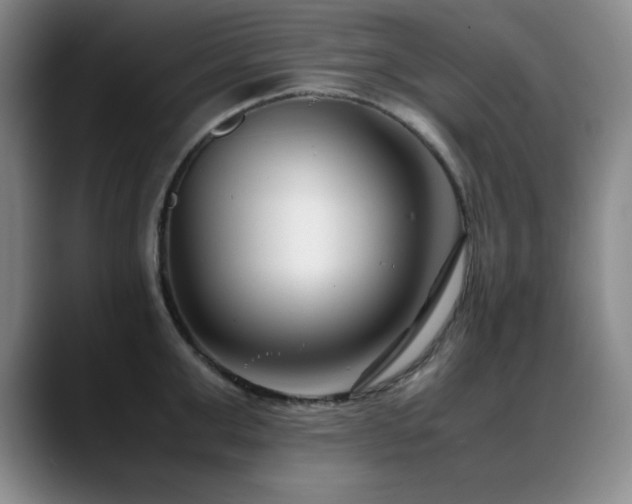 X0000089430999200706151305