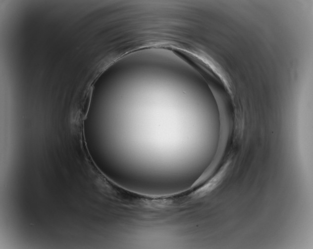 X0000089431001200706151305