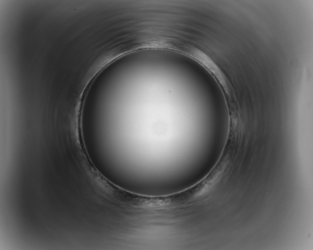 X0000089431002200706151305