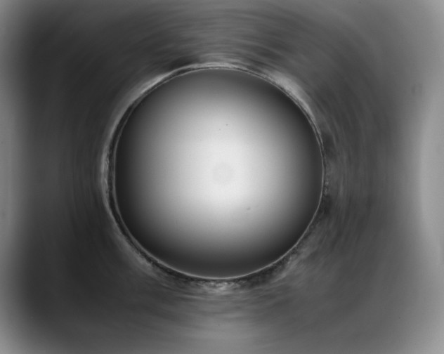 X0000089431003200706151305