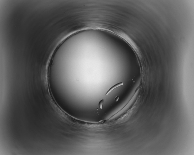 X0000089431004200706151305