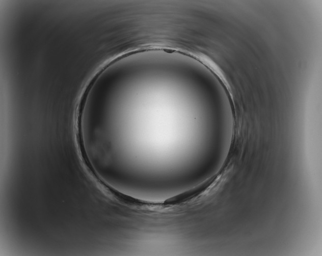 X0000089431005200706151305