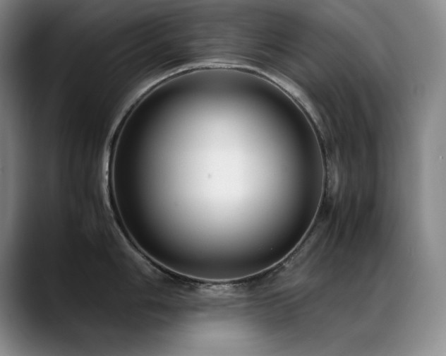X0000089431006200706151305