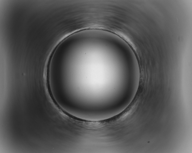 X0000089431007200706151305