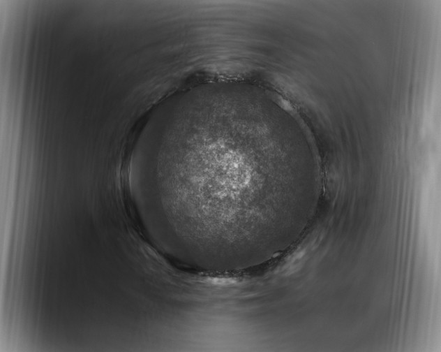 X0000089431010200706151305