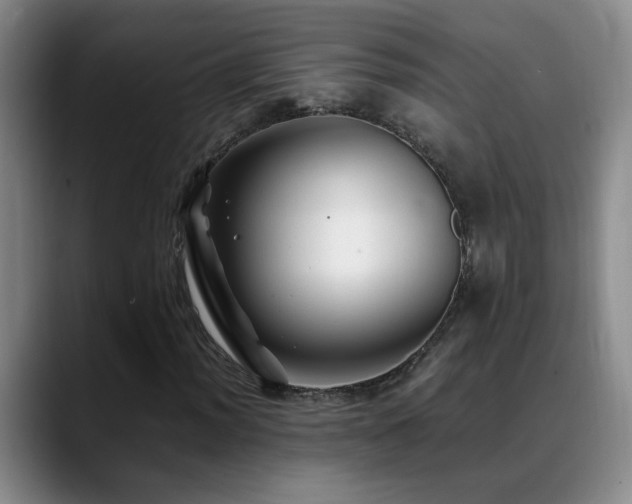 X0000089431012200706151305
