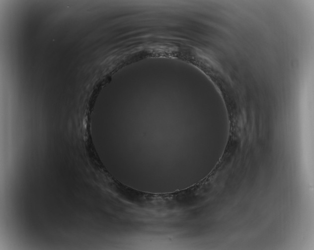 X0000089431013200706151305