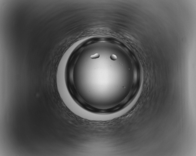 X0000089431014200706151305