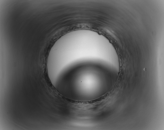 X0000089431015200706151305