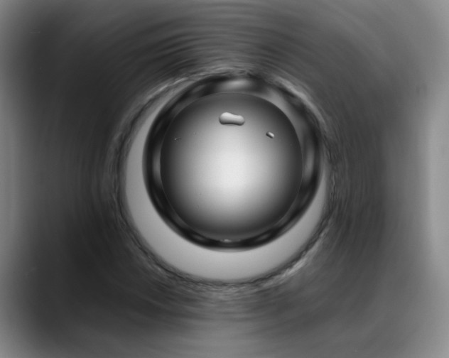 X0000089431018200706151305