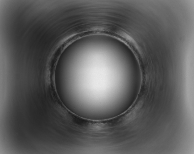 X0000089431019200706151305