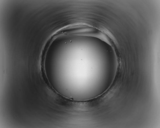 X0000089431020200706151305