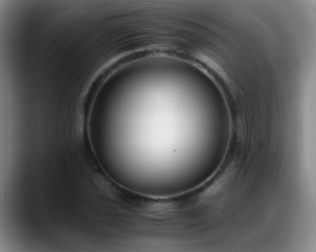 X0000089431021200706151305