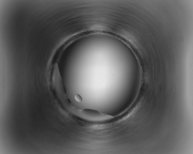 X0000089431022200706151305