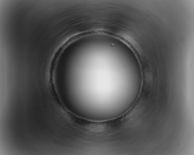 X0000089431023200706151305