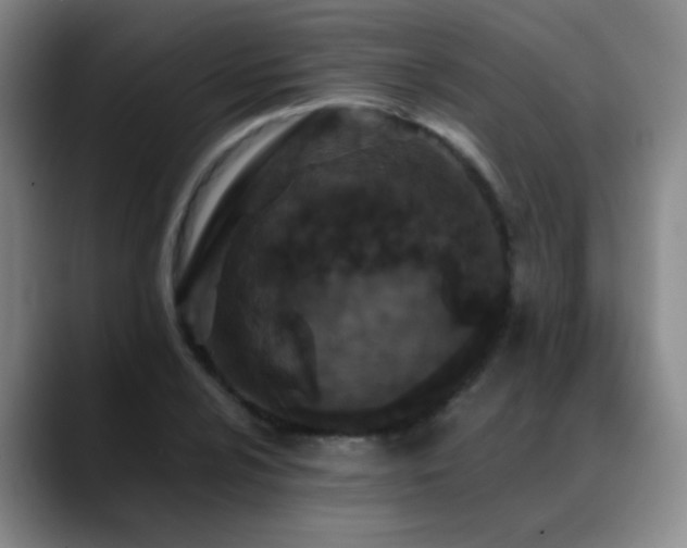 X0000089431024200706151305