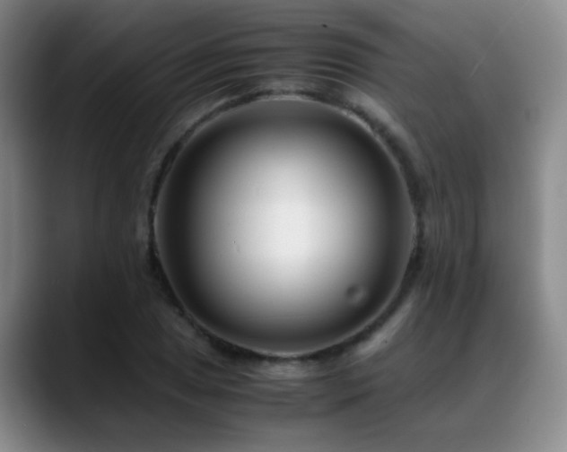 X0000089431025200706151305