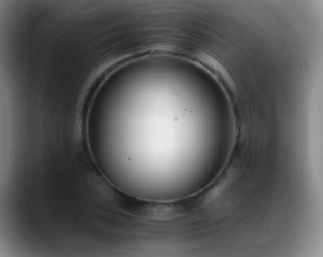X0000089431027200706151305
