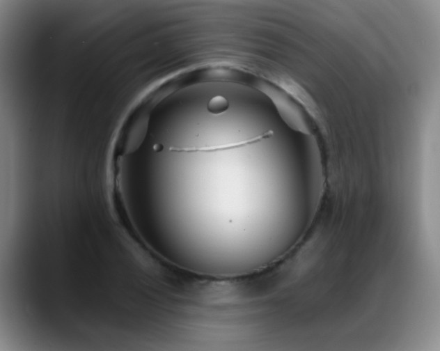 X0000089431028200706151305