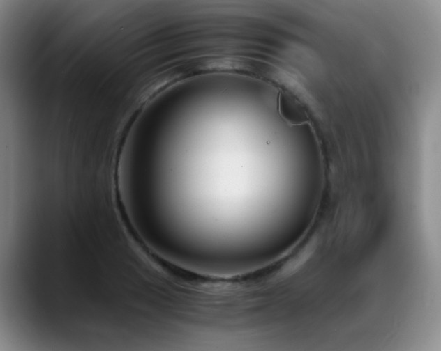 X0000089431033200706151305